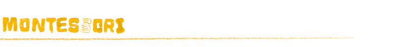 Montessori-Schule Plauen